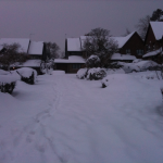 SnowDayThree